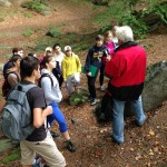 201409181007_obrazek_1_1_