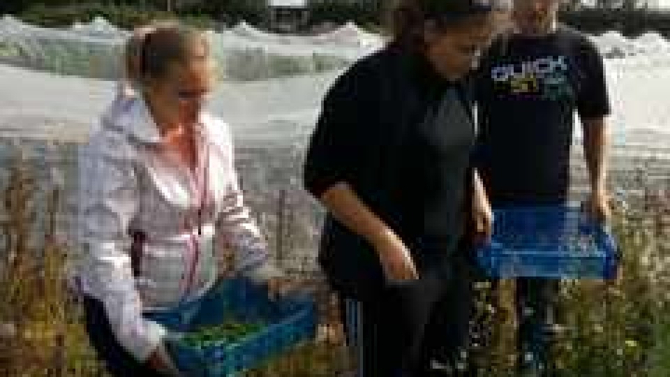 201409250733_20140922_124051