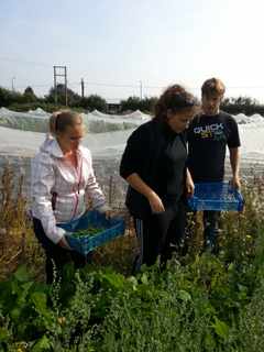 201409250733_20140922_124051