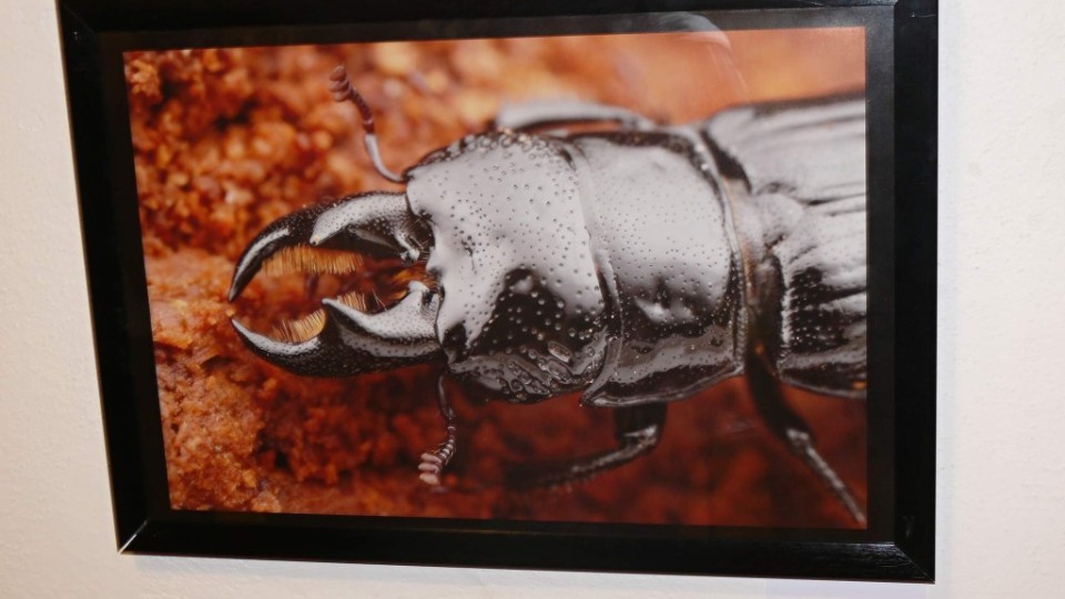 201409251258_p1230242