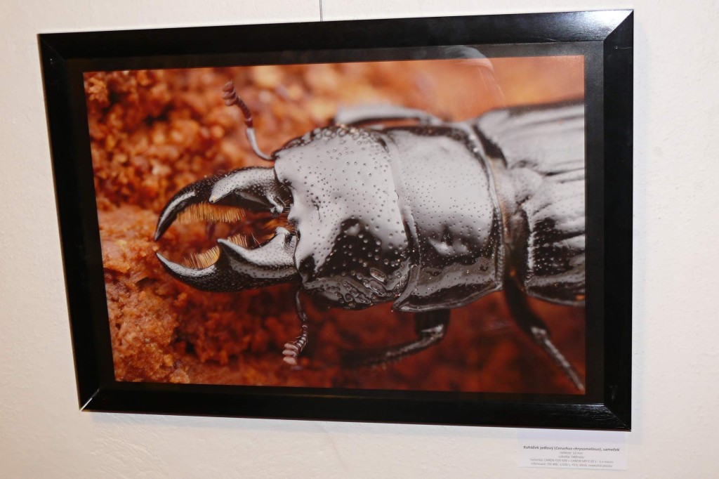 201409251258_p1230242