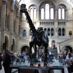 201409291544_seps_13_2