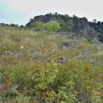 201409301755_p1080655