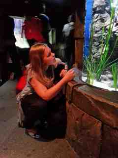 201410020852_20140927_124431_lls