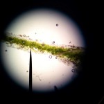 201412032148_20141202_120405