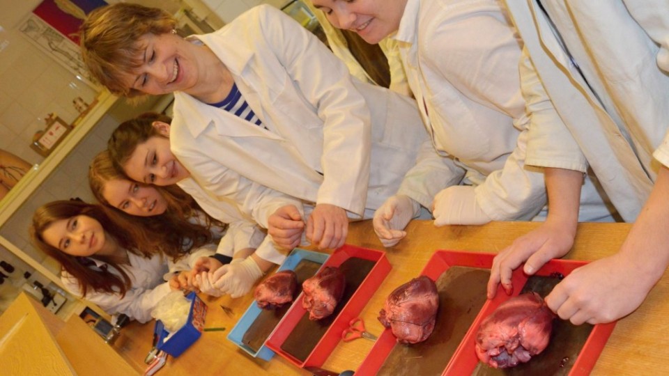 201501070923_dsc_0039