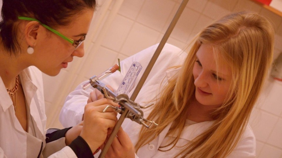 201501070926_dsc_0175