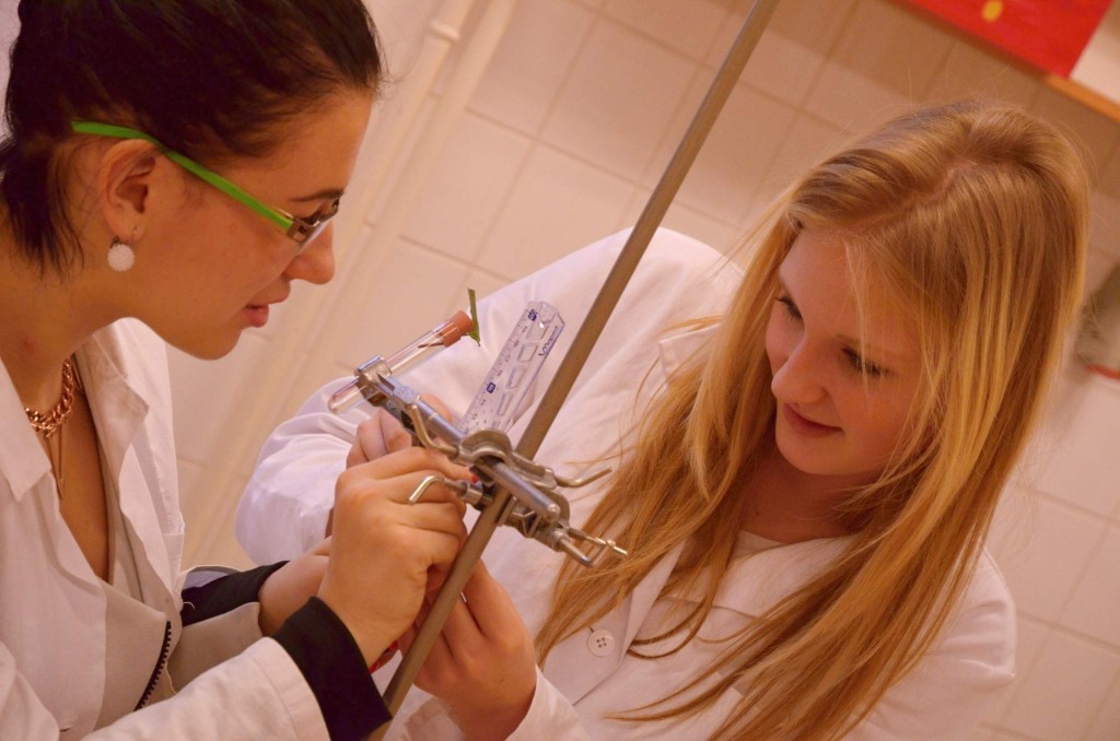 201501070926_dsc_0175