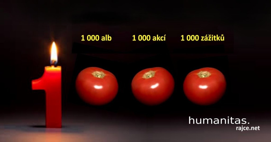 201501202217_rajce1000c