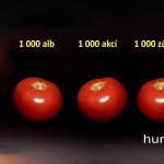 201501202217_rajce1000c