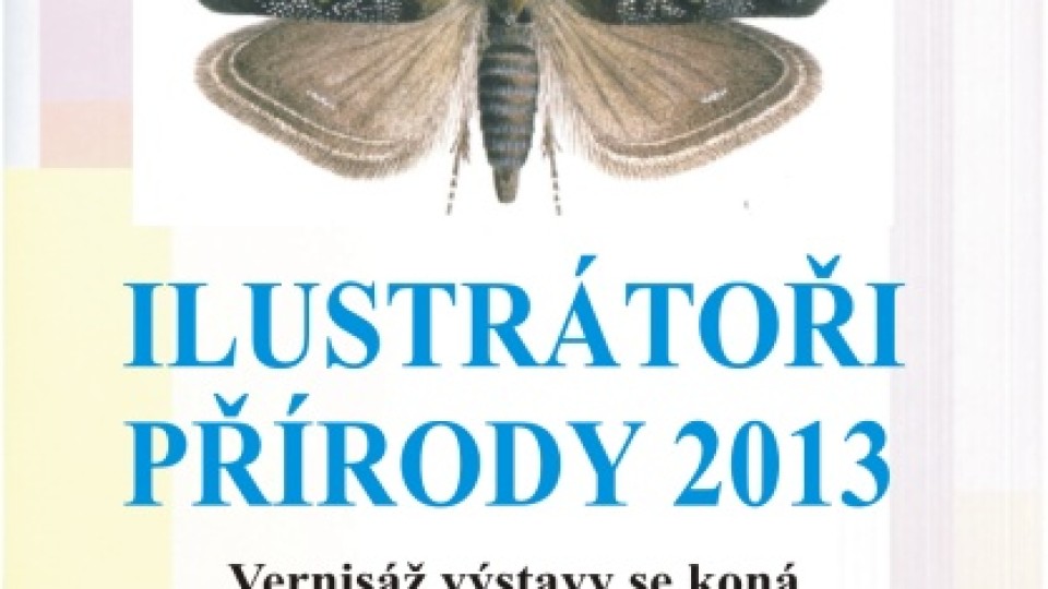 plakat_ilustratori_ok_web