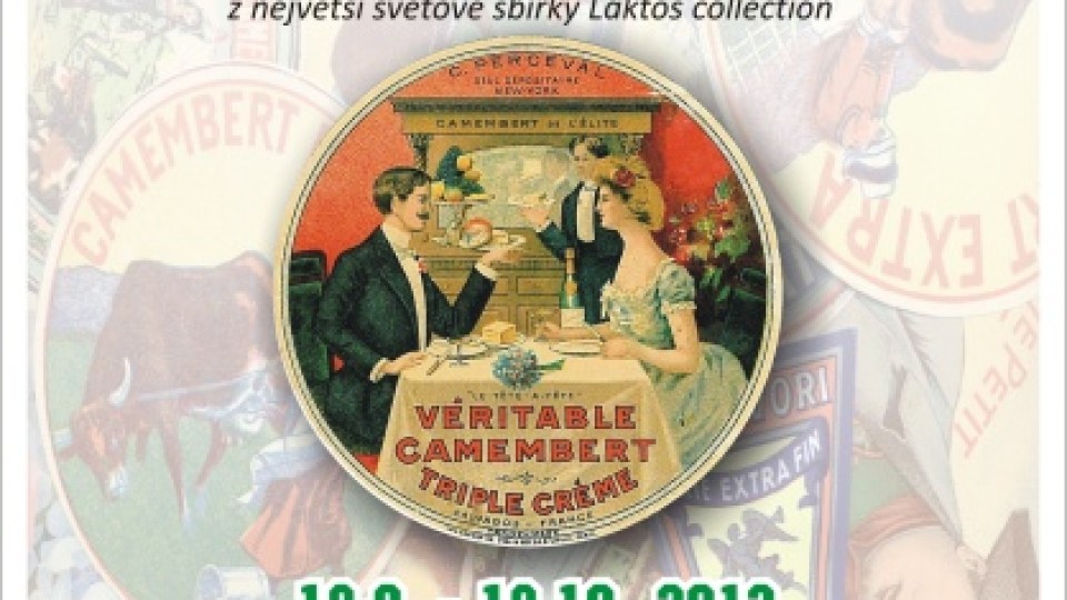 plakat_likler_camembertweb