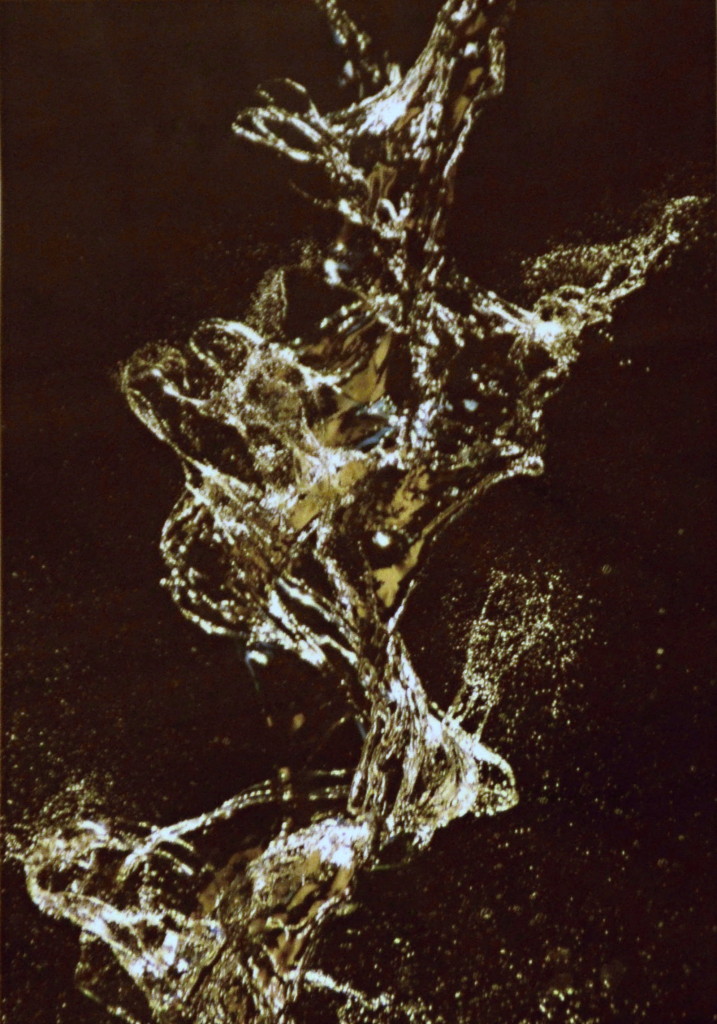 201203221843_dsc_9496