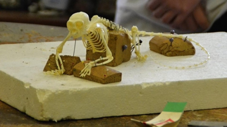 201203280053_dsc_0452