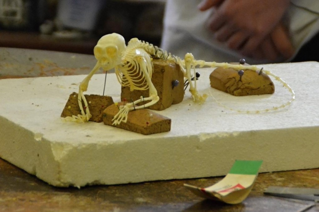 201203280053_dsc_0452