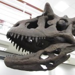 201203292130_img_4128