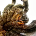 201204132011_imgp0176