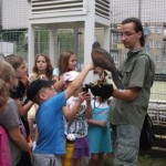 201204171918_tabor02