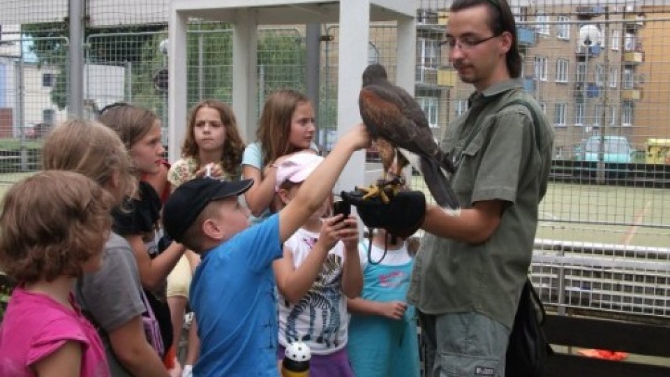 201204171918_tabor02