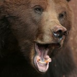 201205201248_img_3499