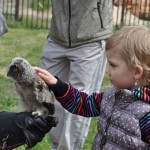 201206102106_dsc_0197