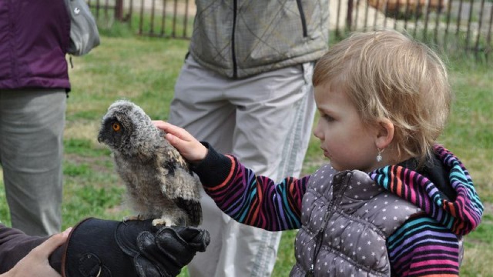 201206102106_dsc_0197