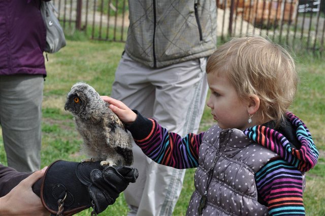 201206102106_dsc_0197