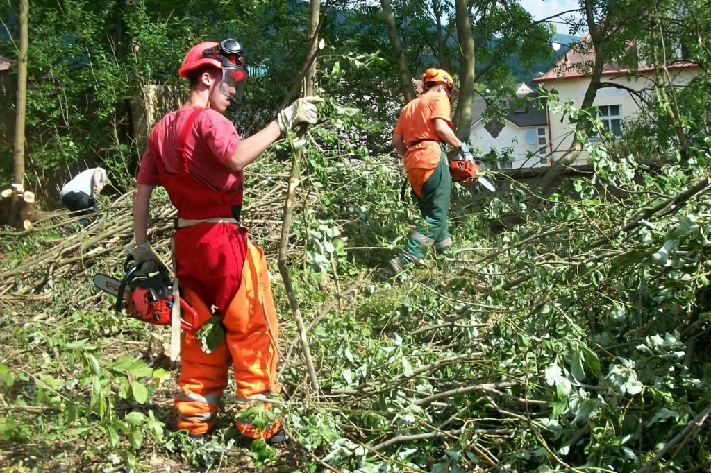 201206191330_100_5216