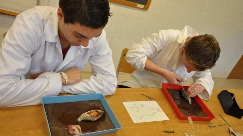 201206241416_dsc_8872