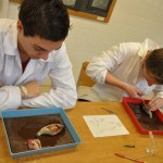 201206241416_dsc_8872