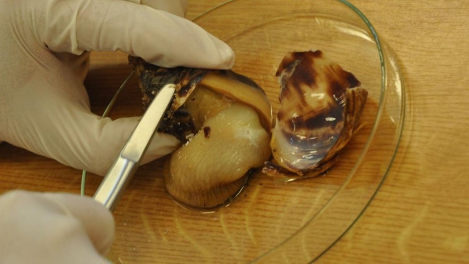 201209180739_dsc_1892