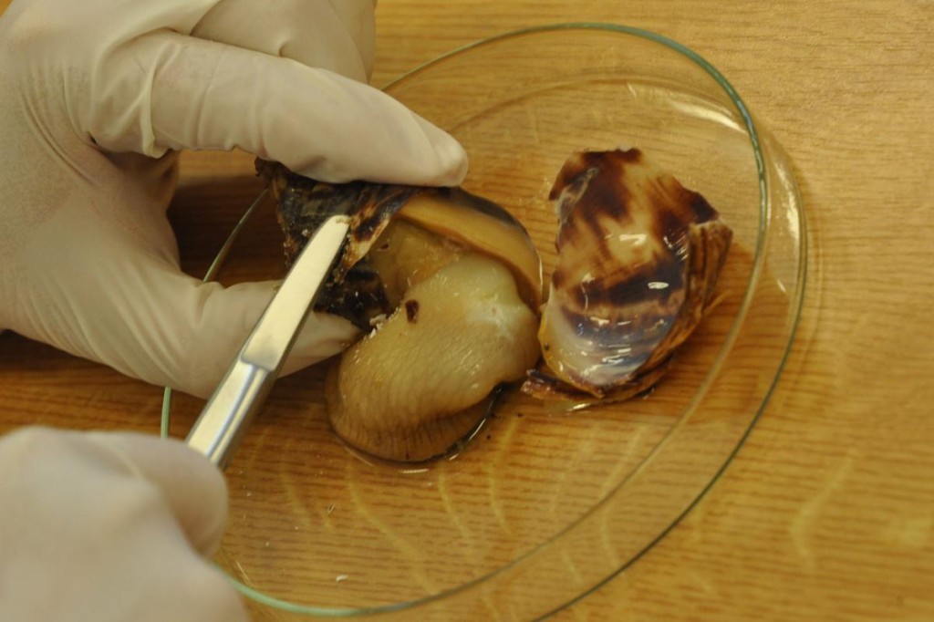 201209180739_dsc_1892