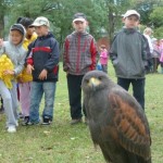 201210030945_p1120171