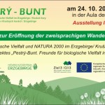 201210190806_bunt_de