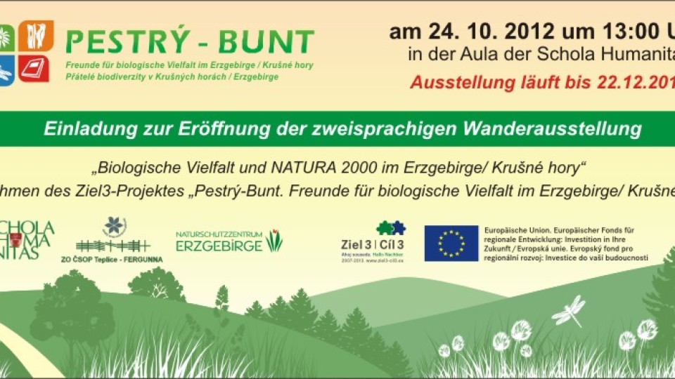 201210190806_bunt_de