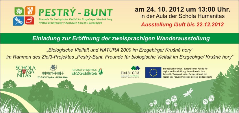 201210190806_bunt_de