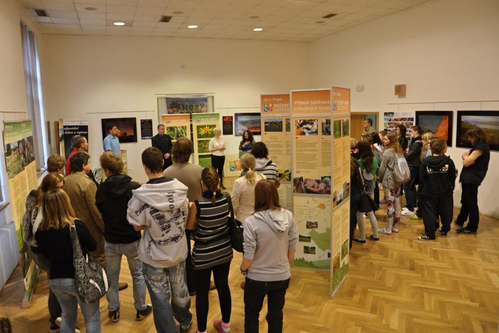 201210251753_dsc_5473