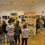 201210251753_dsc_5473