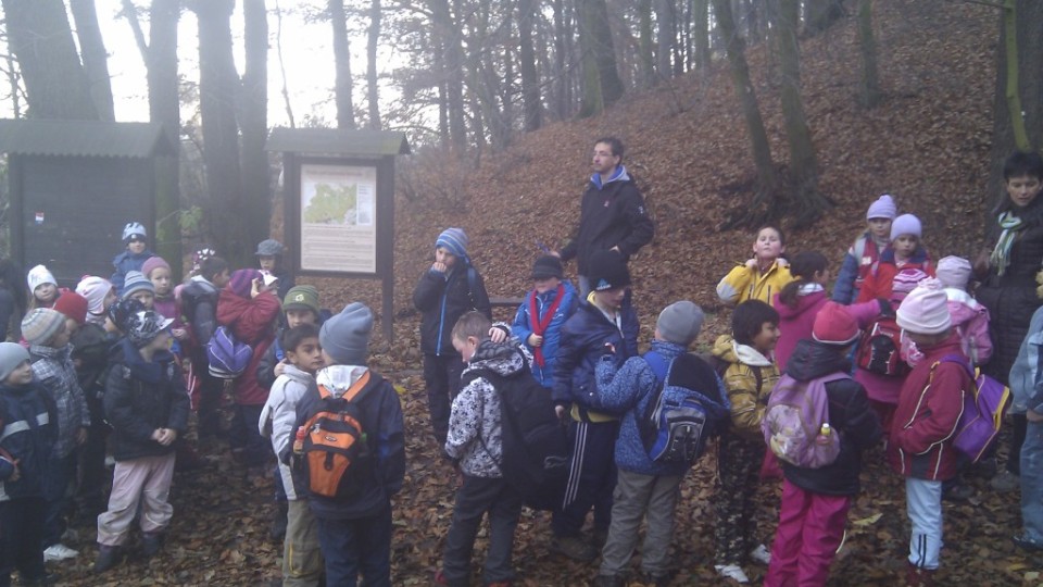 201211200930_imag0479