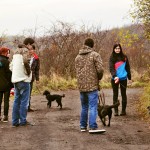 201211230052_dsc_8380