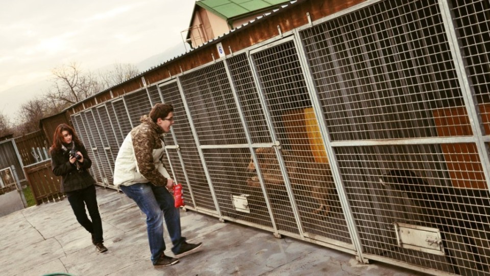 201211230052_dsc_8402