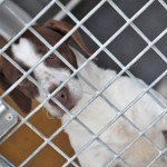 201212170831_702532_2658726085482_953380326_n