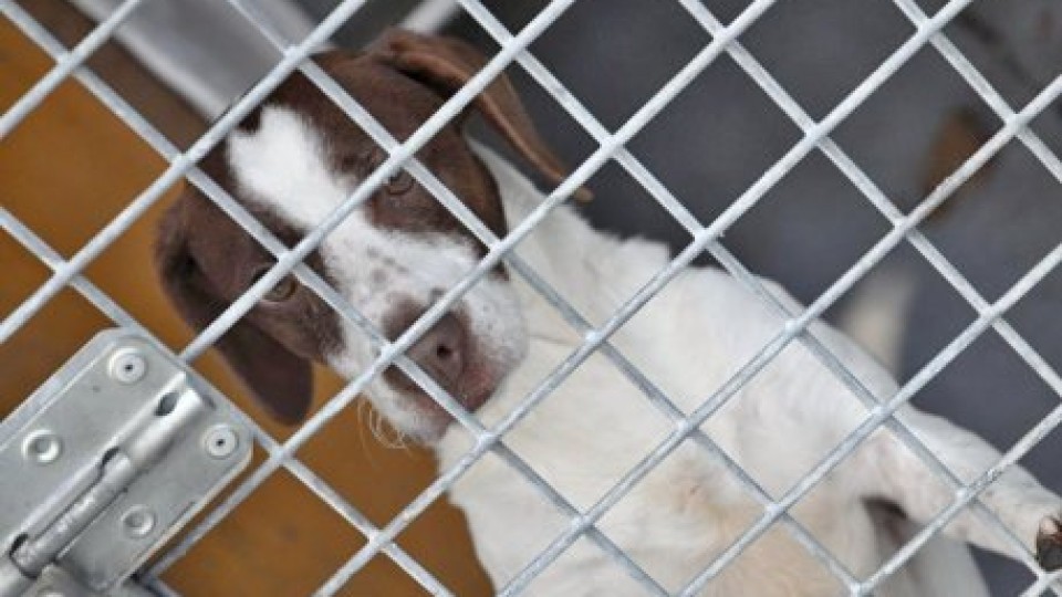 201212170831_702532_2658726085482_953380326_n