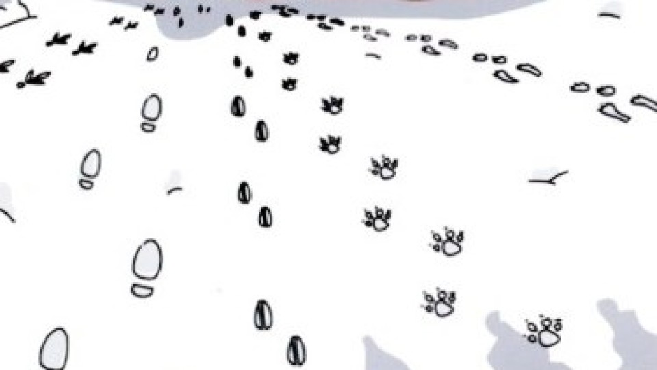 201212251039_pf_2013