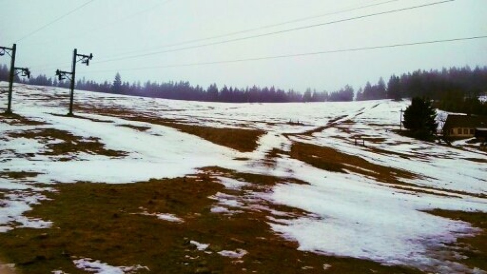 201301052133_1357392482721_1