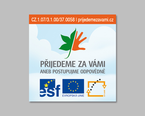 201301110918_pzvsamolepkanahled