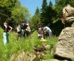 image_thumb (2)