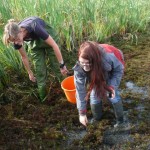 201109201318_p1180437