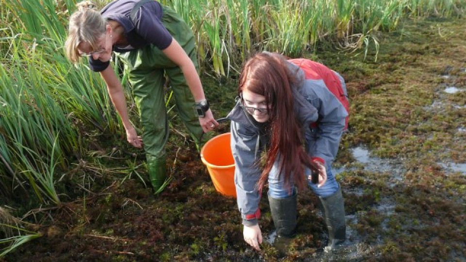 201109201318_p1180437