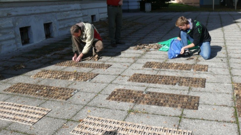 201110132003_p1180620